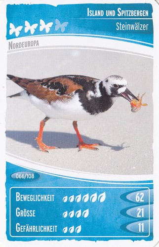 Netto ozeanien - ,