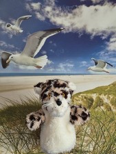 Handpuppe Tiger/Katze