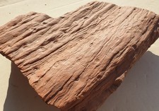 Lepidodendron - ,