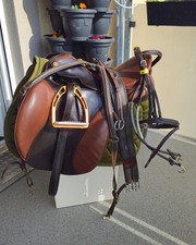 Springsattel Sommer Diplomat