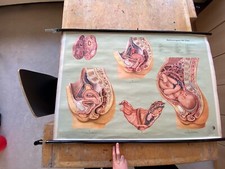 Rollplakat Schul Wandkarte