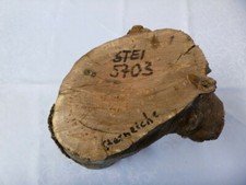 Stein Eiche Eichenholz Baumstamm Stamm Holz Schalenrohling Drechselholz Edelholz