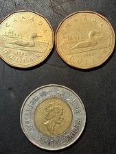 Vintage 1988 Canadian Loonies