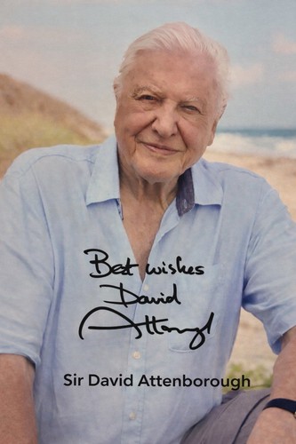 Sir david attenborough - sir,