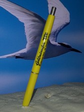 Werbekuli: Goldmännchen Tee, Kreßbronn am Bodensee (wfb)