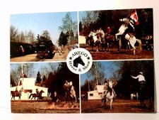 Jonsdorf / Sachsen. AWEGO Horse & Show. Alte Ansichtskarte / Postkarte farbig, u