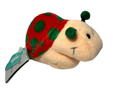 W. Steinbeck Antonella