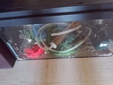 aquarium 60 liter komplett