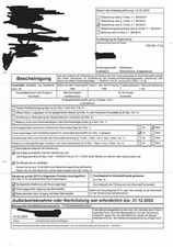 Kaminofen Holz und Kohle mit Speckstein, Bj. 1996, leichte Gebrauchsspuren