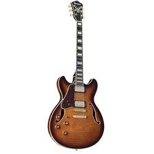 Ibanez Artcore Expressionist