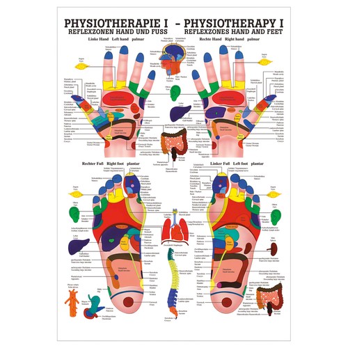 Reflexzonen poster anatomie - poster,