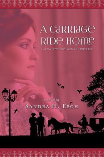 Carriage ride home like new - ride,