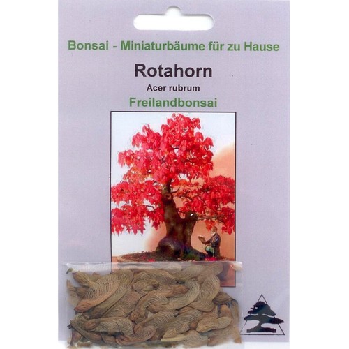 Bonsai samen von - bonsai,