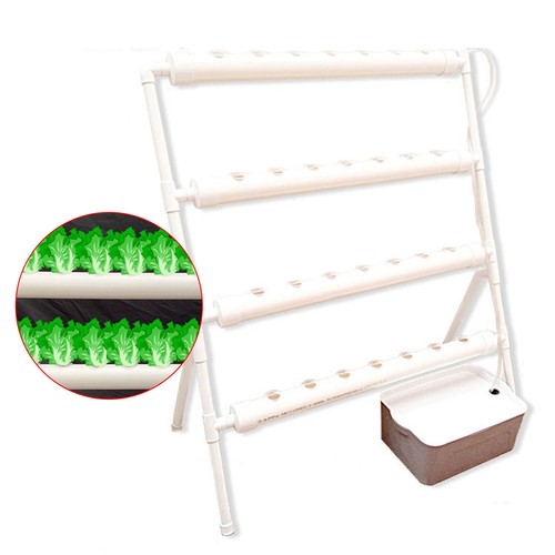 Löcher hydroponic grow - 36-löcher,