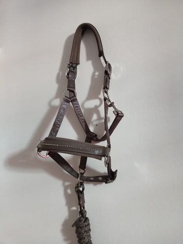 Eskadron halfter mit strick - eskadron,