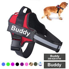 Hundegeschirr personalisiert