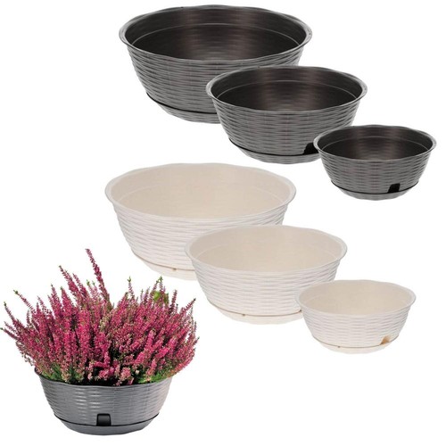 Pflanzschale blumenschale - pflanzschale,