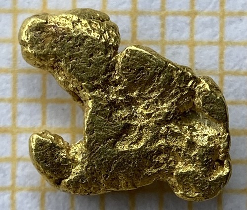 Xxl echtes goldnugget - xxl,
