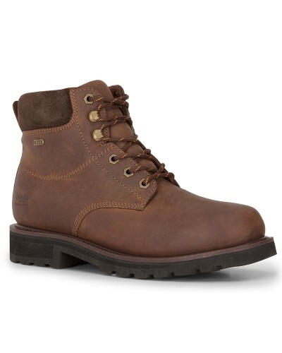 Hoggs fife cronos - of,