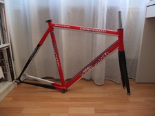 Bahnrad Rahmen Fixie Pista