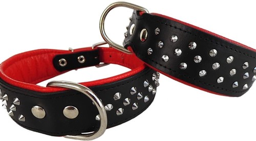 Hundehalsband nieten - hundehalsband,,