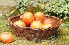 Obstschale Obstkorb Weide