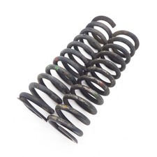 Federn 2x Feder vorne Mercedes