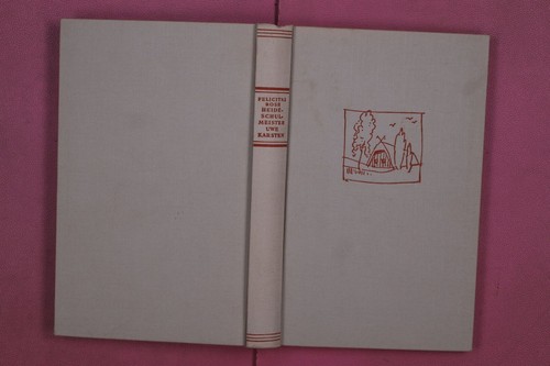 291469 felicitas rose - 291469,