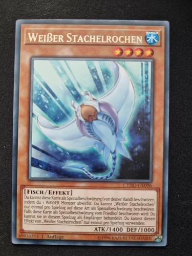 Weißer stachelrochen cyho - stachelrochen,