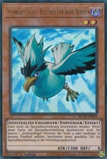 Schwarzflügel - Blizzard der