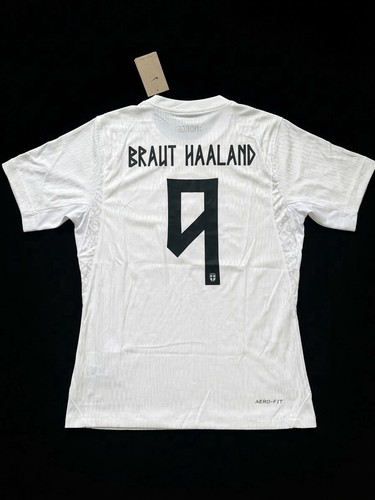 Player version erlin haaland - erlin,