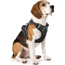 Hundegeschirr Hundetraining