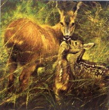 NL Grußkarte * KünstlerKarte