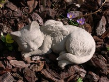 Katze mit Flügeln eingerollt