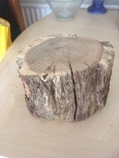 Eichenholz Baumstamm Abschnitt