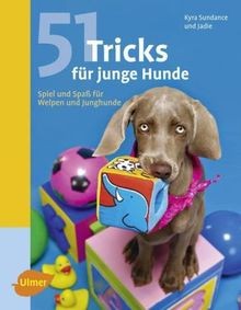 Tricks für junge hunde - tricks,