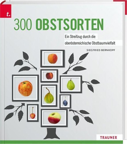 Siegfried bernkopf 300 - bernkopf,