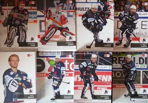 Del playercards 2024 - del, 2024/2025