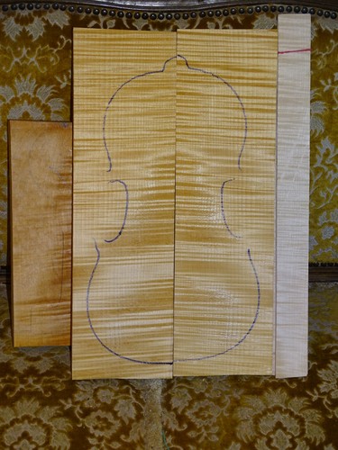 Tonholz tonewood klasse - tonewood,,