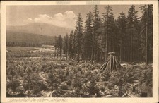 Schierke Harz Landschaft bei