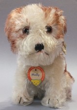 Steiff MOLLY KFS 3317,00 nur