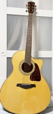 Elektrische Akustikgitarre S