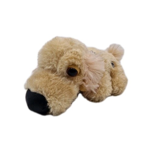 The dog hund beige - dog,
