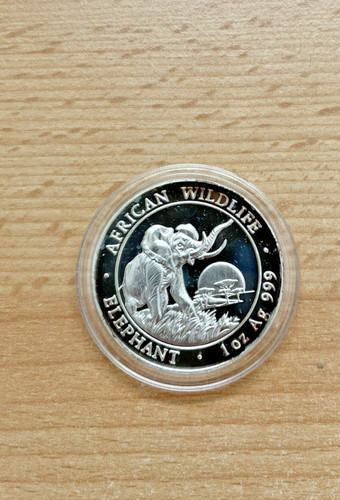 Silber somalia elefant - elefant,