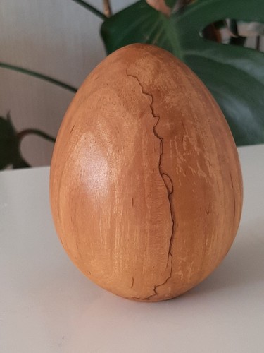 Dekoeier aus traubenkirsche - dekoeier,