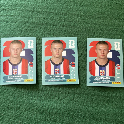 Panini fifa world cup - panini,