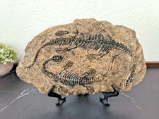 Weihnachtsdeko Dinosaurier