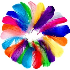 500 Bunte Federn, 8-12cm