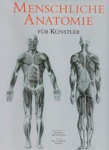 Menschliche anatomie für - menschliche,