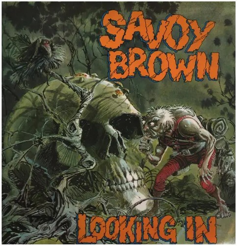 Savoy brown looking 1st - looking,